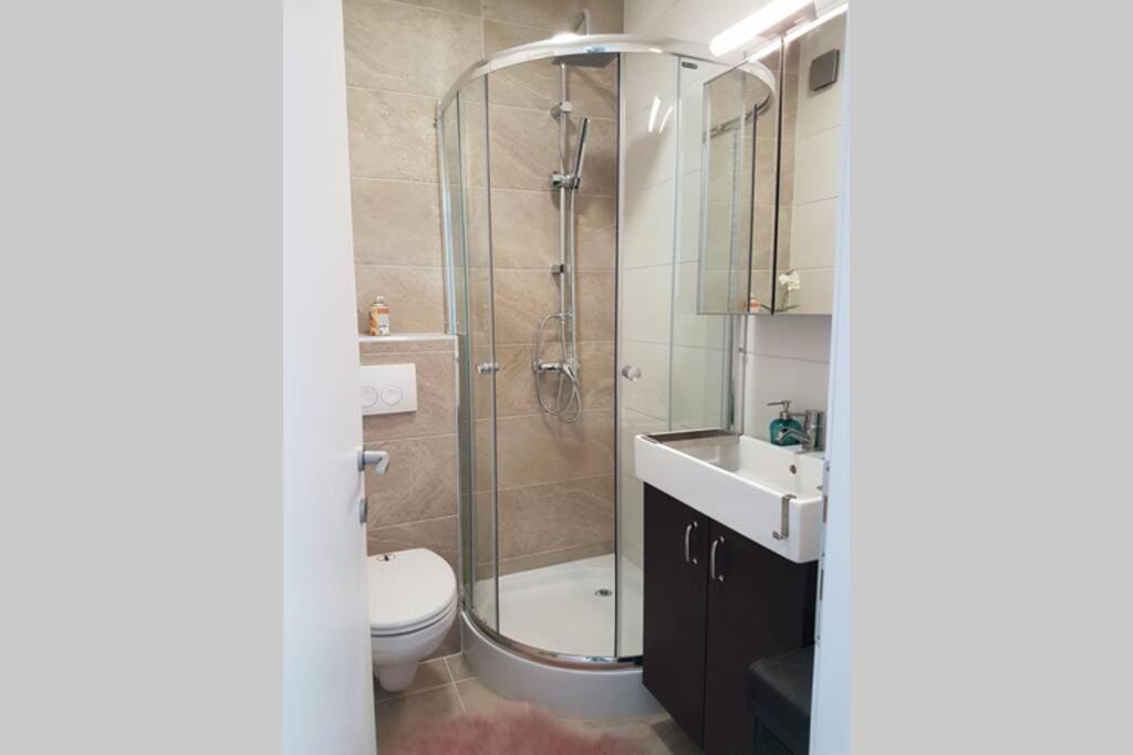 Living Home, Apartament Cu Doua Dormitoare Si Doua Bai Cisnadie Luaran gambar